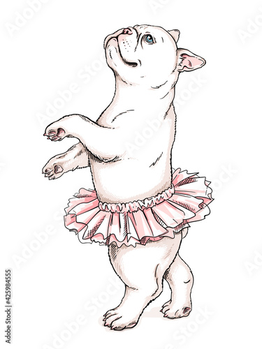 Cute french bulldog ballerina sketch. Dog in ballet tutu. Vector illustration in hand-drawn style. Image for printing on any surface