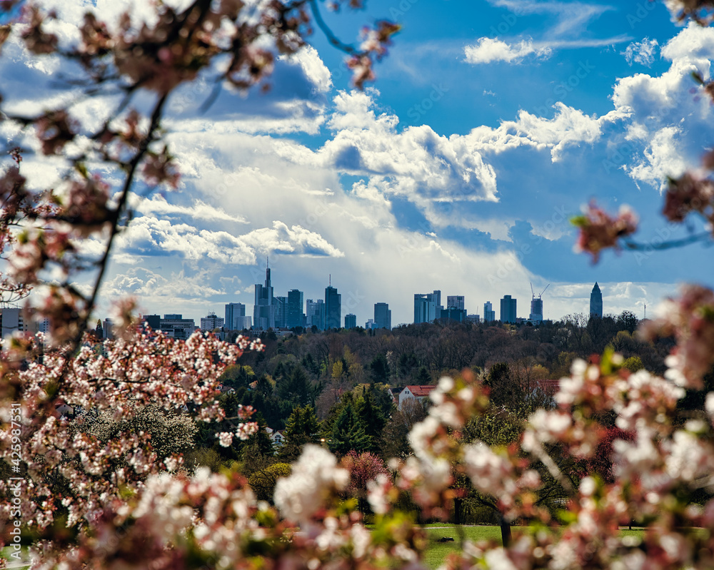 Frankfurt am Main Skyline im Frühling