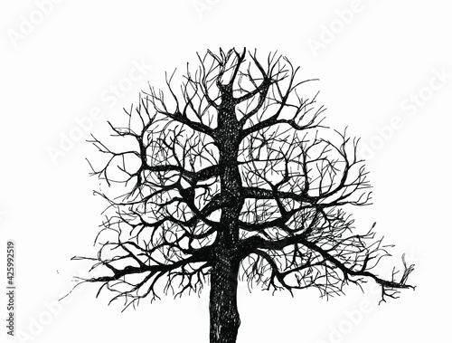 Vector ink sketch of a tree
