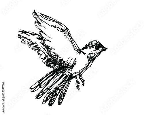 Vector ink sketch of the flying bird