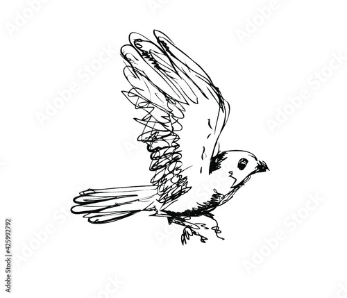 Vector ink sketch of the flying bird