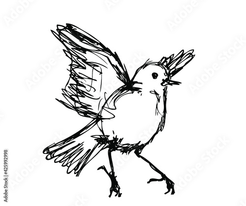 Vector ink sketch of the dancing bird