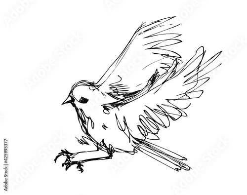 Vector ink sketch of the flying bird