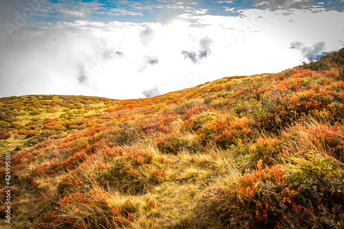 morning in the mountains, autumn colours, alps, hiking, gastein, dorfgastein, fulseck, austria photo