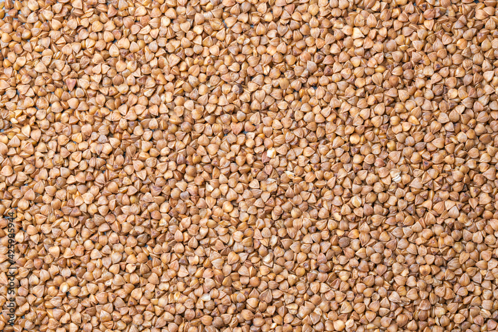 buckwheat seeds close-up for the whole frame buckwheat seeds close-up for the whole frame