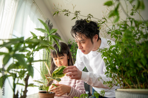 Life with Plants