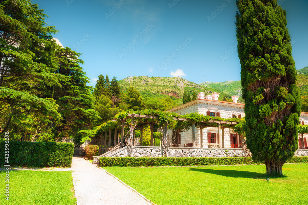 Beautiful garden with green decorative plants and trees. Summer landscape, view of the mountains and sky. Montenegro