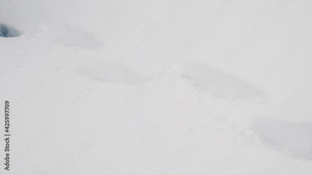 Men's legs walking on the snow Men's legs walking on the snow