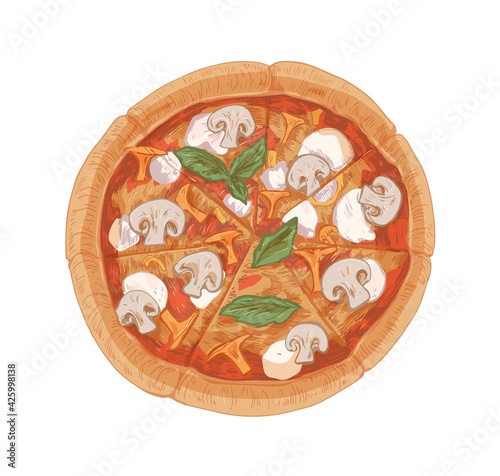 Top view of mushroom pizza with champignons, chanterelles, mozzarella cheese, sauce, basil leaves and thick crust. Hand-drawn Italian vegetarian food. Vector illustration isolated on white background