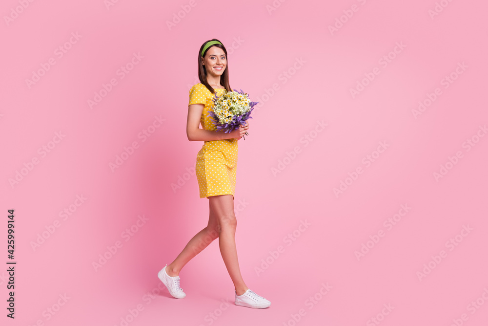 Full length body size profile side view of lovely cheerful girl holding in hands romance flowers going isolated over pink color background Full length body size profile side view of lovely cheerful girl holding in hands romance flowers going isolated over pink color background