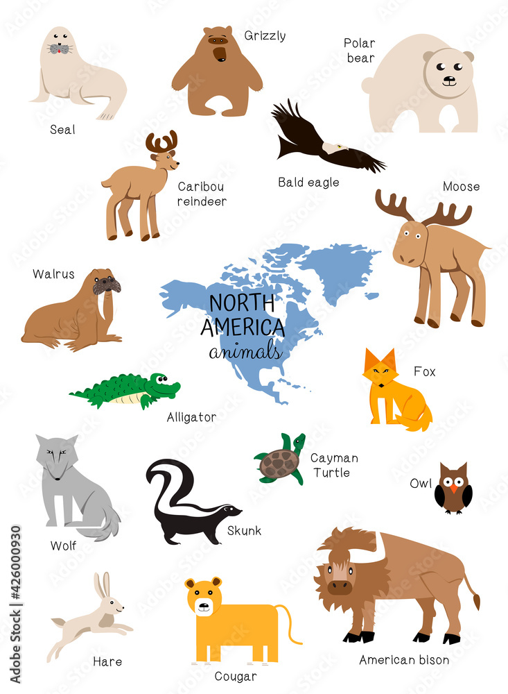 Cartoon animals of North America, set, isolated. walrus, seal, deer, skunk, bison, fox, wolf, eagle, bear, turtle, owl