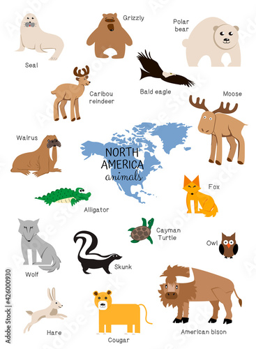 Fototapeta Naklejka Na Ścianę i Meble -  Cartoon animals of North America, set, isolated. walrus, seal, deer, skunk, bison, fox, wolf, eagle, bear, turtle, owl