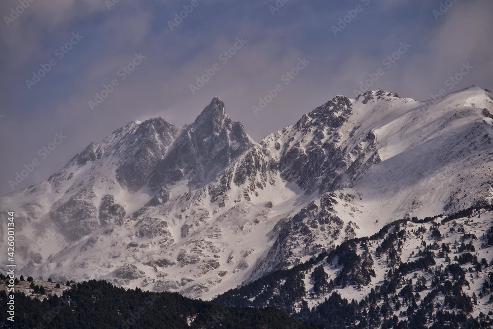Fototapeta premium snow covered mountains