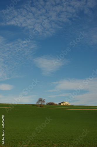Farm with wheat field - Molise - Italy  © Enrico Spetrino
