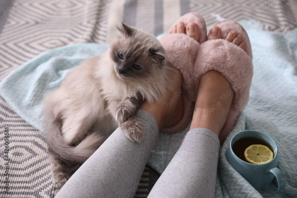 Woman in stylish soft slippers resting with cup of tea cute cat at home, closeup Woman in stylish soft slippers resting with cup of tea cute cat at home, closeup