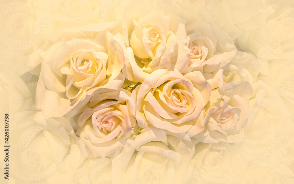 pale peach colored fake rose flowers top view closeup, colorful pattern background pale peach colored fake rose flowers top view closeup, colorful pattern background