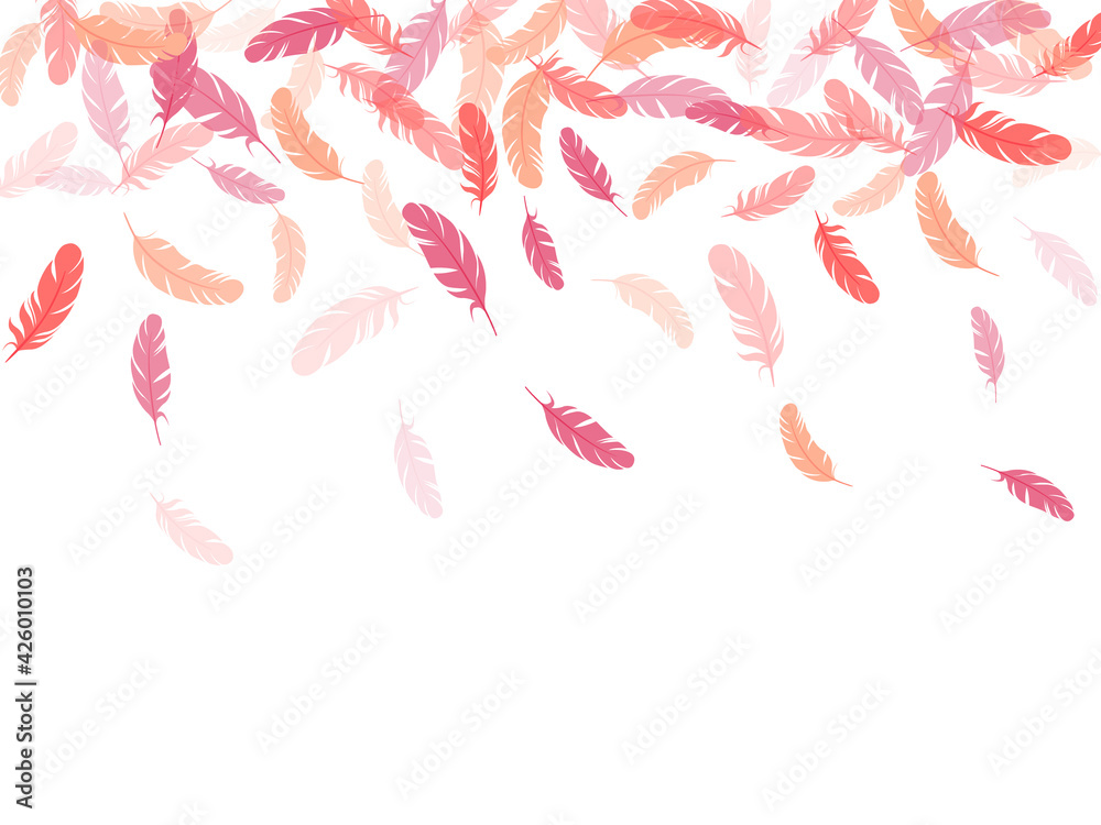 Falling feather elements soft vector design. Falling feather elements soft vector design.