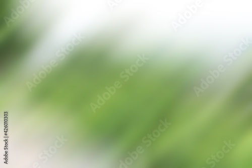 Abstract blurred background of the tree,white and green bokeh background among bright sunlight, use as a nature background. 