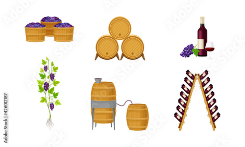 Grape Wine Glass Bottles in Wooden Wine Rack and Barrels as Winemaking Industry Vector Set