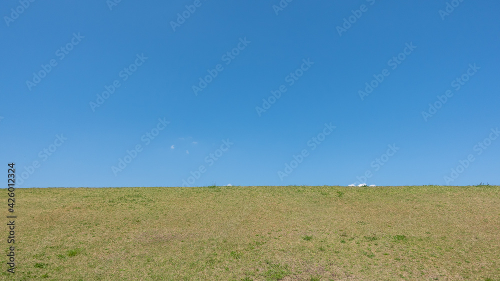 Obraz premium 春の丘の風景