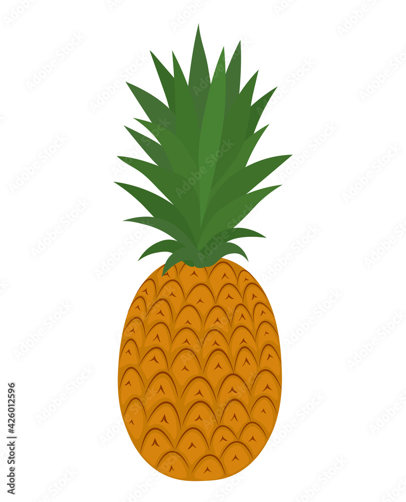 Summer fruit Pineapple flat vector illustration