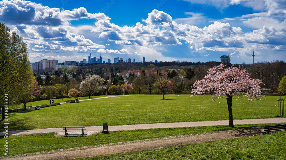 Frühling am Lohrberg Frankfurt