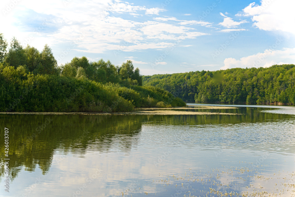 Obraz premium summer landscape with a lake and forest