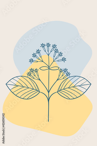 quina bark tree , abstract, poster, minimal ww