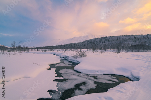 China s popular travel destination  Xinjiang  natural scenery in winter. Snow-covered forest  extremely cold environment.