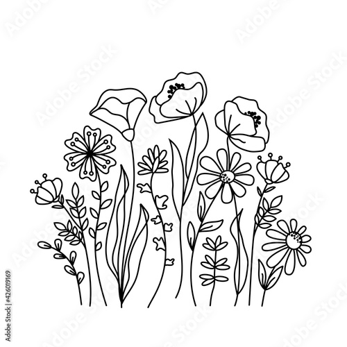 Hand drawn wildflowers meadow. Black and white doodle wild flowers and grass plants. Monochrome floral elements.