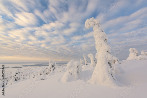 Xinjiang, China, the natural scenery in winter. Snow-covered forest, extremely cold environment. © zhuxiaophotography