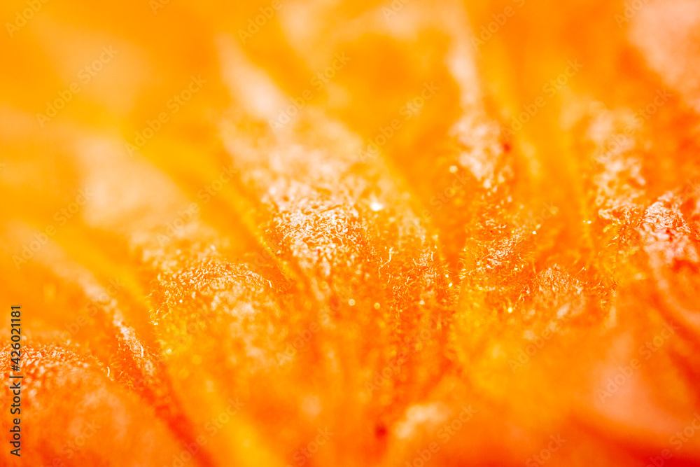 Dried orange apricot texture Dried orange apricot texture