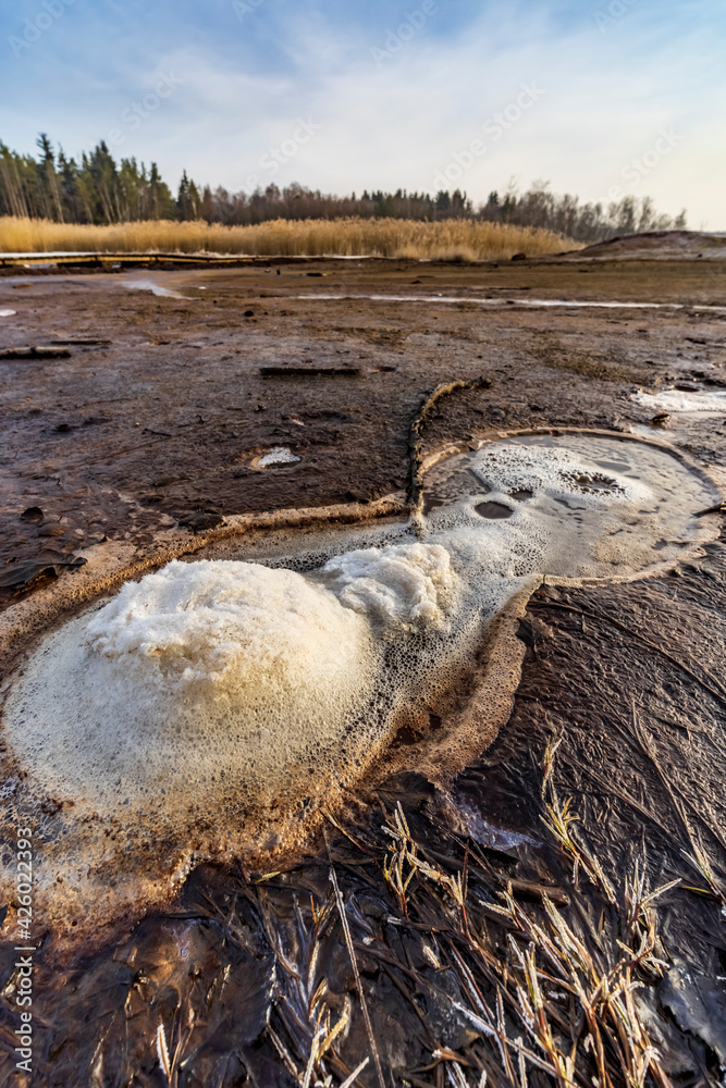 Obraz premium Nature reserve Soos, Western Bohemia, Czech Republic