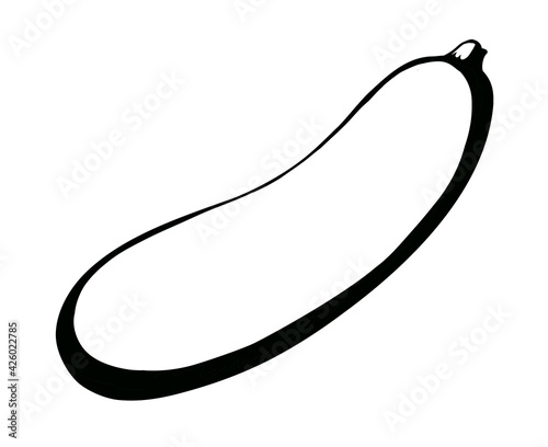 Zucchini gourd. Vector drawing icon