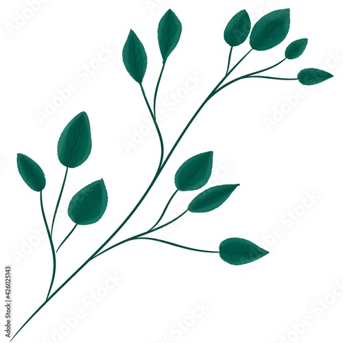 Tree branch with green leaves isolated on white background