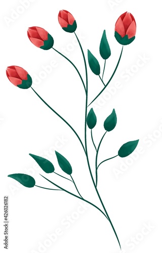Tree branch roses with green leaves isolated on white background