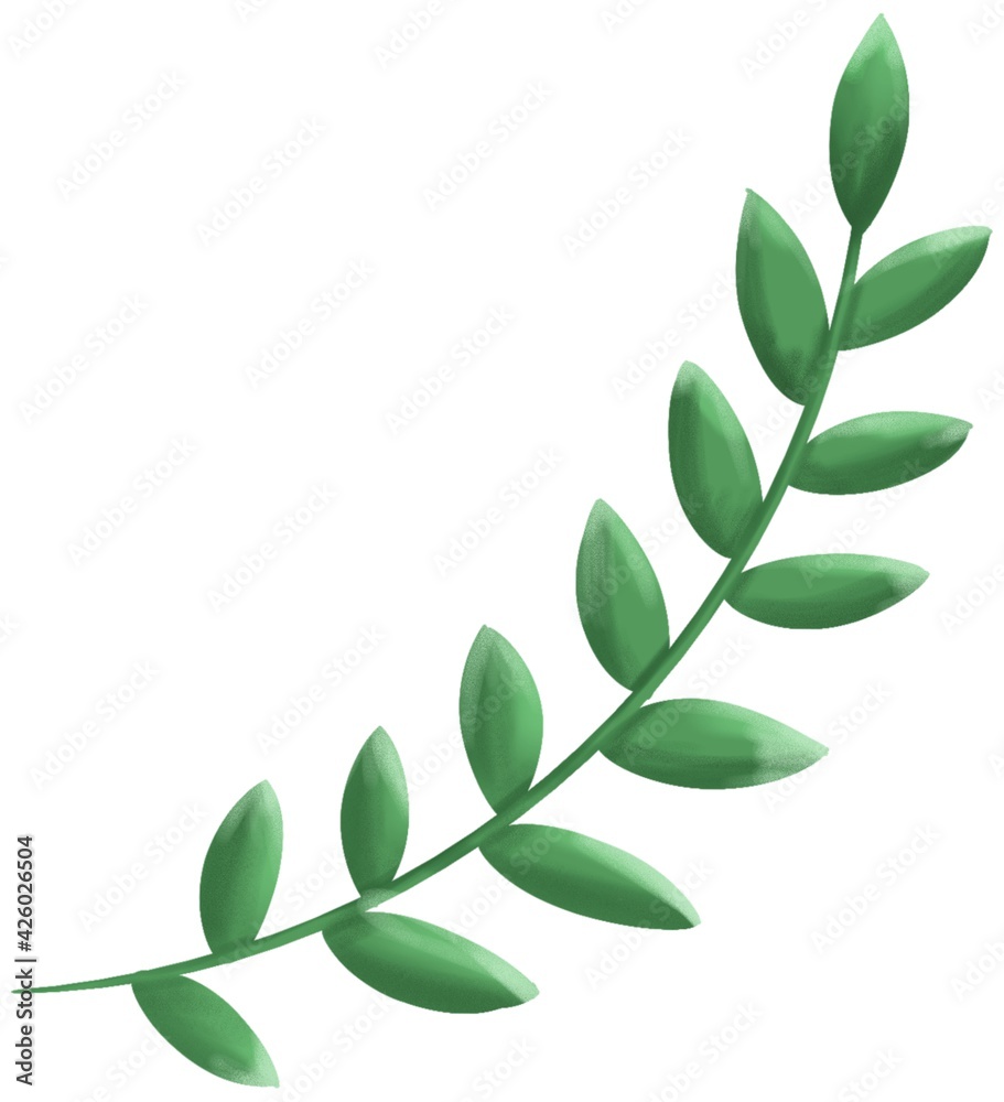 Obraz premium Tree branch with green leaves isolated on white background