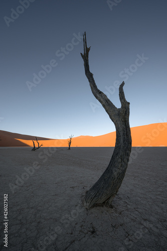 Sossusvlei, Namibia, a psychedelic and surreal landscape, this is the most photographed place in sub-Saharan Africa.
