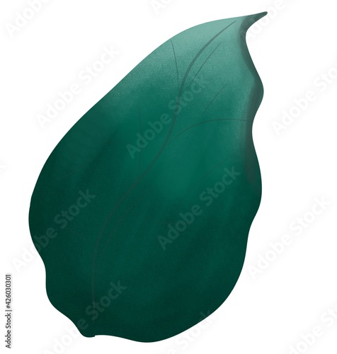 Tree branch with green leaves isolated on white background
