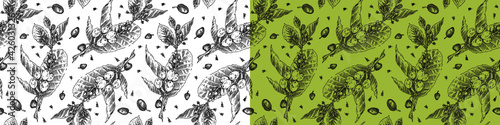 Vintage engraved coffee branch pattern. Coffee package seamless background for coffee shop banner template with vector beans drawing in engraving style. Coffee roasting banner. Organic brand.