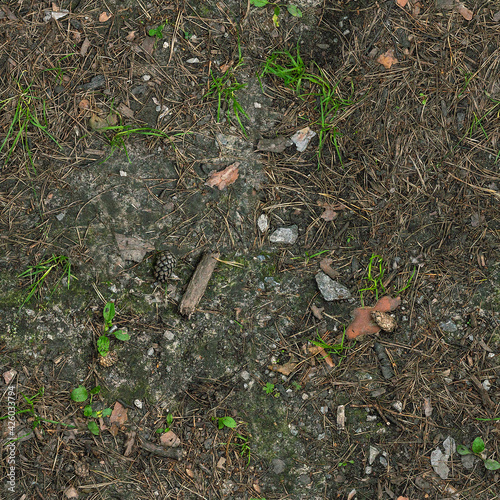 Seamless forest gravel ground texture