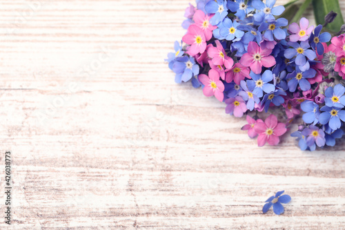 Beautiful blue and pink Forget-me-not flowers on white wooden table  above view. Space for text