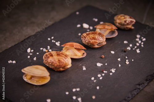Fresh mussels in a vangole shell are arranged in a row on a black slate board on a dark gray table, surrounded by pepper and sea salt. The concept of healthy food and fresh seafood and delicacies.