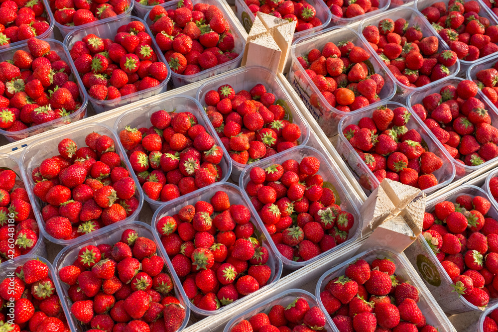 Strawberry punnets Strawberry punnets