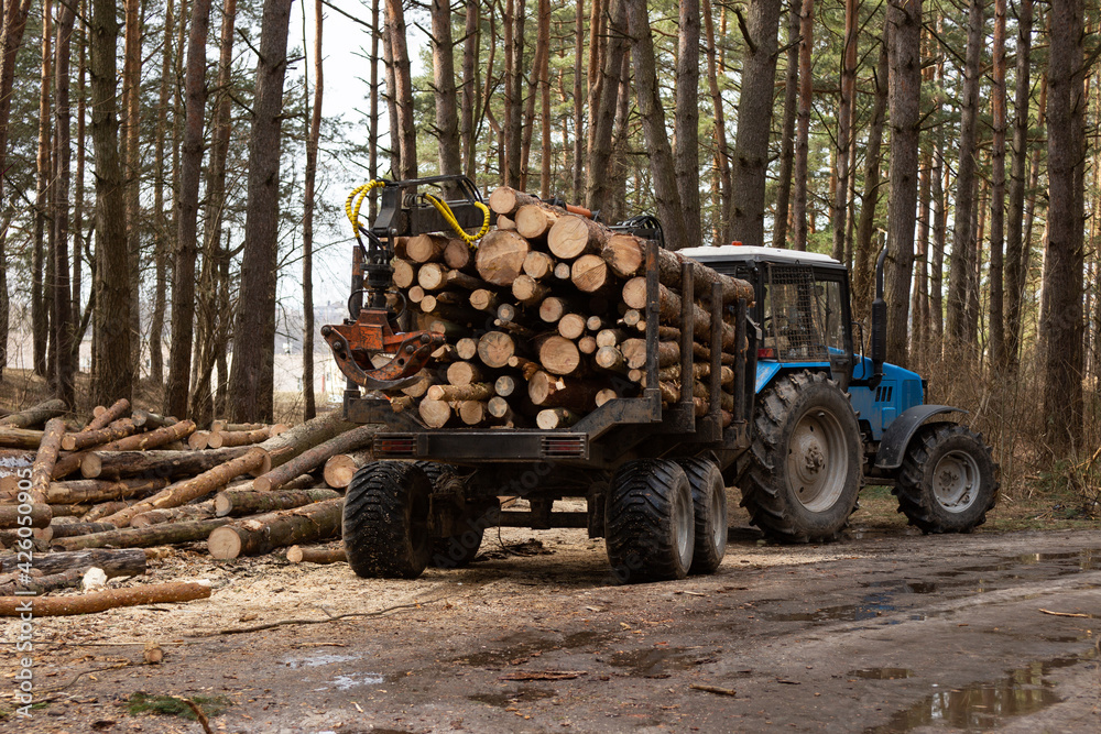 Tractor loaded with logs next to a pile of untreated wood