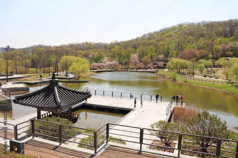Fototapeta premium 강북구 북서울 꿈의 숲 공원 풍경