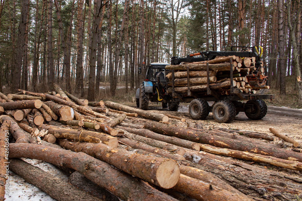 Tractor loaded with logs next to a pile of untreated wood