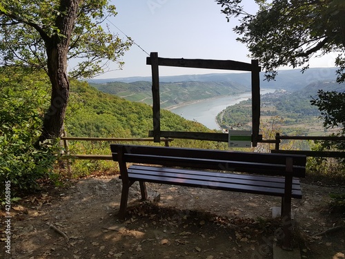 bench in the garden