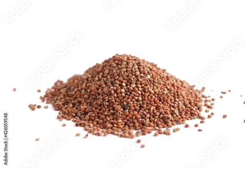 Obraz na plátně Sorghum millet grain pile on background agriculture grain