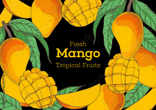 Mango fruit hand drawn package design. Vector illustration. Design, package, brochure illustration. Mango frame illustration. Can used for packaging design. Colorful.